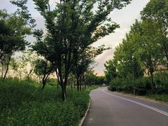 -汤姆熊欢乐世界(正大店)