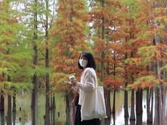 -白鹭湾湿地公园