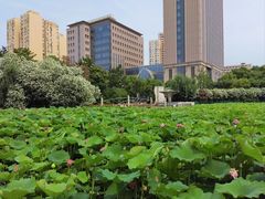 -黄兴公园