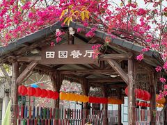 -盈香心动乐园