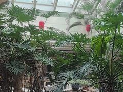 -顺峰·粤菜海鲜·早茶自助(阜成店)