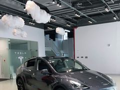 -TESLA 特斯拉(深圳观澜特斯拉直营钣喷中心)
