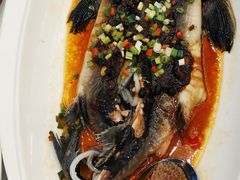 -万龙洲海鲜(大兴绿地缤纷城店)