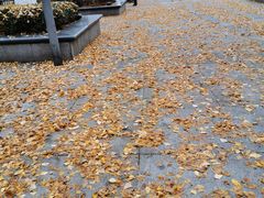 -两江幸福广场