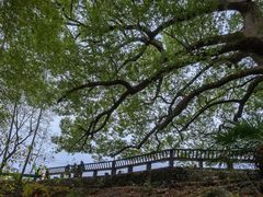 -塔川景区