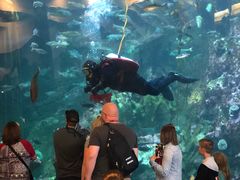 -西雅图水族馆