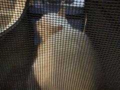 -联合动物医院(光谷诊疗中心)