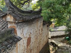 -杨家堂村