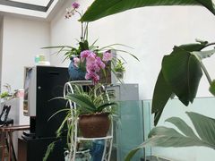 -奔驰利星行(北京花乡店)