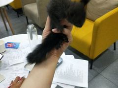 -牛学教育雅思托福PTE·小语种培训(小寨校区)