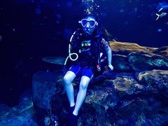 -太平洋海底世界