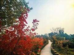 -白水寺森林公园