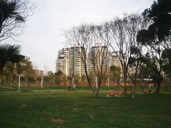 -大宁公园