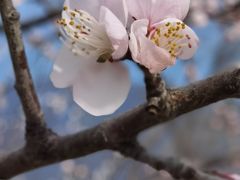 -白水寺森林公园