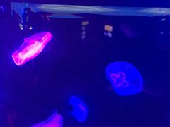 -福州罗源湾海洋世界旅游区