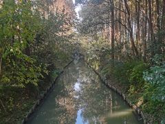 -同里国家湿地公园