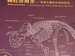 -正佳自然科学博物馆