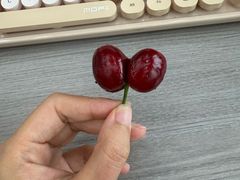 -肖记牛肉鱼杂馆·省级非遗(柏林春天直营店)