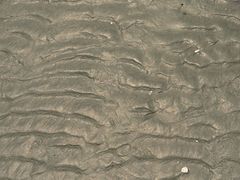 -江山半岛白浪滩景区