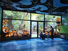 -海合安成都极地海洋公园