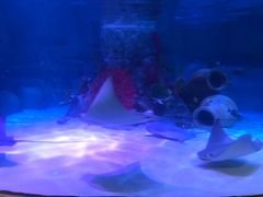 -沈阳海洋探索中心