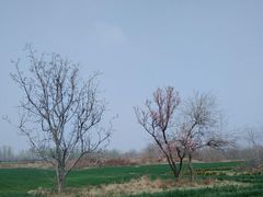 -汉长安城未央宫国家考古遗址公园