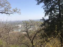 -北京鹫峰国家森林公园