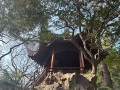 -秋霞圃