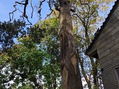 -终南山南五台景区