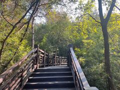 -白马涧龙池景区