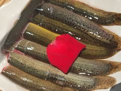 -蜀九香火锅(彩虹店)