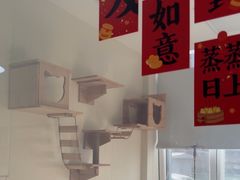 -美联众合动物医院·24h京西诊疗中心