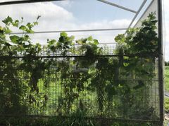 -上海多利农业发展有限公司