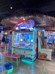 -卡通尼·Safari非洲探索乐园·生日会(金桥国际商业广场店)