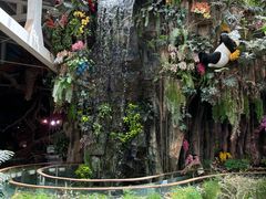 -正佳雨林生态植物园
