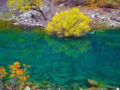-叠溪松坪沟景区