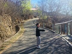 -欢乐松鼠谷