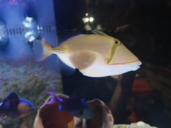 -Zoolung Zoolung动物主题公园(海信广场店)