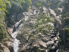 -霸王岭国家森林公园