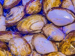 -沁园蒸汽·海鲜餐厅(三浴场店)