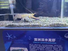 -重庆欢乐海底世界