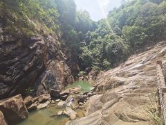 -广州白江湖森林公园