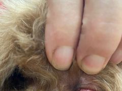 -芭比堂动物医院·犬猫全科·异宠专科(雁塔分院)