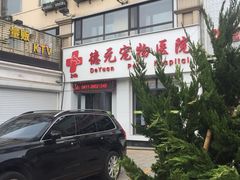 -德元·美联众合24小时动物医院(总院)