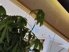 -重庆高老九火锅(万象城店)