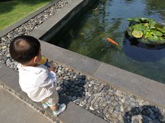 -三亚湾海居铂尔曼度假酒店