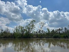 -东寨港红树林旅游区
