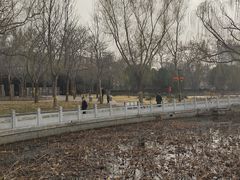 -莲花池公园