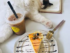 -灯塔咖啡馆BOOK·Coffee Shop