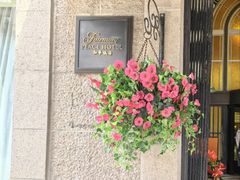-上海和平饭店 Fairmont Peace Hotel